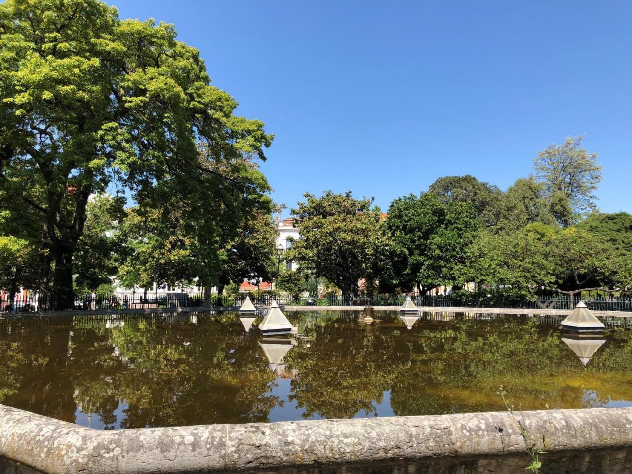 Botanic Views Guest House リスボン エクステリア 写真